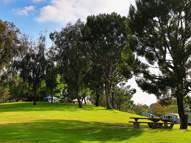 Bonelli Bluffs RV Resort & Campground — photo 6
